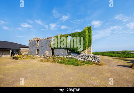 The Old Farm on Skomer, an island off the coast of Pembrokeshire, near Marloes and St Brides in west Wales, well known for its birds and wildlife Stock Photo