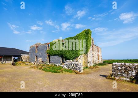 The Old Farm on Skomer, an island off the coast of Pembrokeshire, near Marloes and St Brides in west Wales, well known for its birds and wildlife Stock Photo