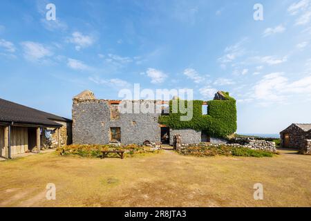 The Old Farm on Skomer, an island off the coast of Pembrokeshire, near Marloes and St Brides in west Wales, well known for its birds and wildlife Stock Photo