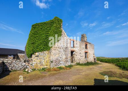 The Old Farm on Skomer, an island off the coast of Pembrokeshire, near Marloes and St Brides in west Wales, well known for its birds and wildlife Stock Photo