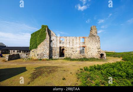 The Old Farm on Skomer, an island off the coast of Pembrokeshire, near Marloes and St Brides in west Wales, well known for its birds and wildlife Stock Photo