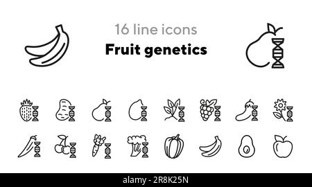 Fruit genetics line icon set Stock Vector