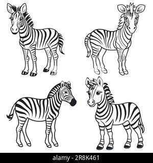 Graphical set of zebra isolated on white background,vector illustration Stock Vector