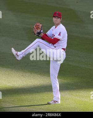 Angel Stadium is shown during action between the Los Angeles Angels News  Photo - Getty Images