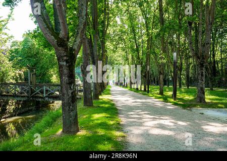 Tree-lined walkway in Crécy la Chapelle, a village in the French department of Seine et Marne in the Paris region crossed by the Grand Morin river oft Stock Photo