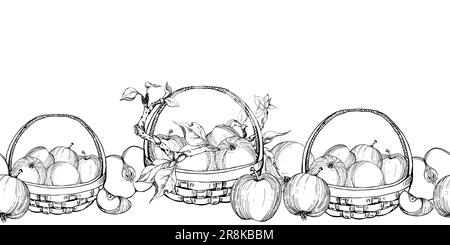 Hand drawn ink apple fruits, branches and leaves in basket, monochrome vector, detailed outline. Seamless horizontal banner. Isolated on white Stock Vector