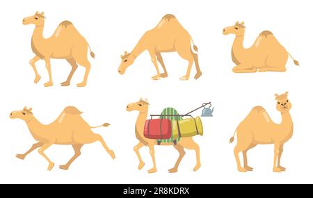 Various camels with one hump flat icon set Stock Vector