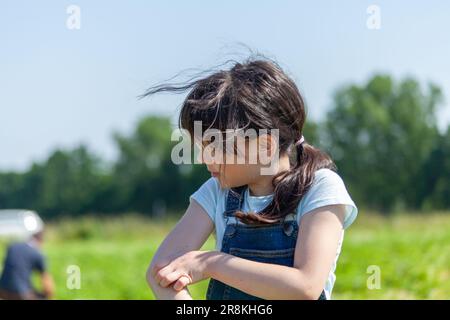 Little girl picking strawberries in the field. Selective focus on the girl Stock Photo