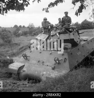 M10 Wolverine - Französisches Heer / French Land Forces (Army) / Armée ...