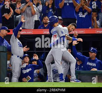 David Peralta and Jordan Laria attend the Los Angeles Dodgers