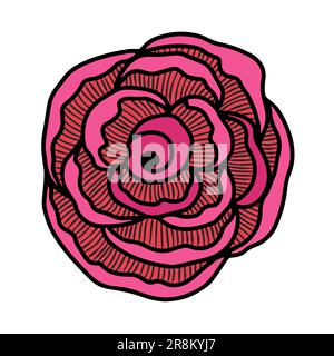 Rose flower head. Floral botanical flower. Hand drawn ink art. Isolated rose illustration element isolated on white. Stock Vector