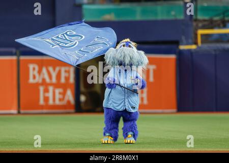 St. Petersburg, FL. USA; Tampa Bay Rays mascot Raymond entertained the fans  during a major league baseball game against the Minnesota Twins, Saturday  Stock Photo - Alamy