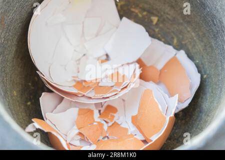 Broken eggshells in a grey mortar in the kitchen Stock Photo