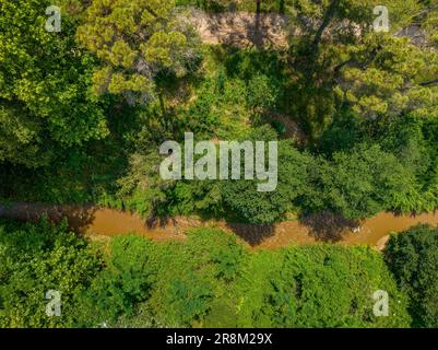 Aerial view of the Tenes river as it passes through Santa Eulàlia de Ronçana, surrounded by forest and green fields in spring (Barcelona, Spain) Stock Photo