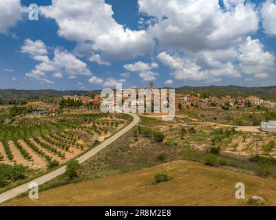 Aerial view of the village of Bovera, in Les Garrigues, surrounded by fields of fruit trees (Lleida, Catalonia, Spain) ESP: Vista aérea de Bovera Stock Photo