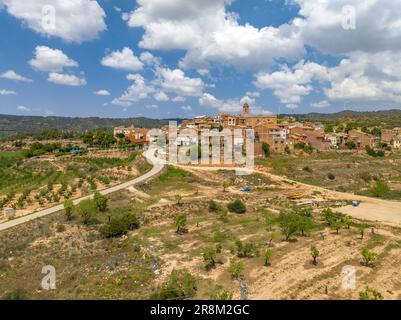 Aerial view of the village of Bovera, in Les Garrigues, surrounded by fields of fruit trees (Lleida, Catalonia, Spain) ESP: Vista aérea de Bovera Stock Photo