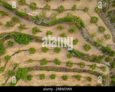 Aerial view of the village of La Fatarella and the surrounding olive fields (Terra Alta, Tarragona, Catalonia, Spain) ESP: Vista aérea de La Fatarella Stock Photo