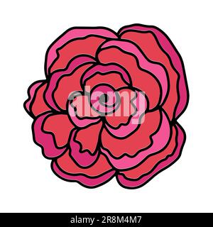 Rose flower head. Floral botanical flower. Hand drawn ink art. Isolated rose illustration element isolated on white. Stock Vector