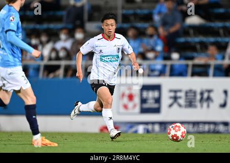 希少 '95 England vs Japan 日本Wembley初登場 hotspring on X: 