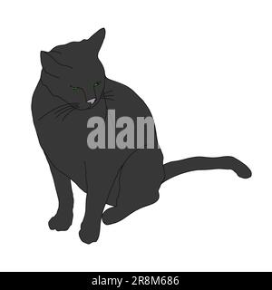 black cat on a white background Stock Vector