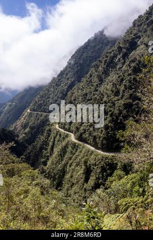 Driving the famous death road, the 'Camino de la Muerte', in the Bolivian Andes near La Paz - traveling and exploring the Yungas Stock Photo