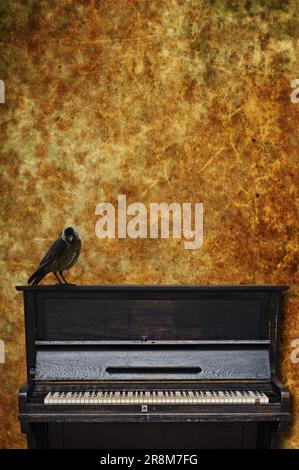 a black crow standing on an old piano Stock Photo