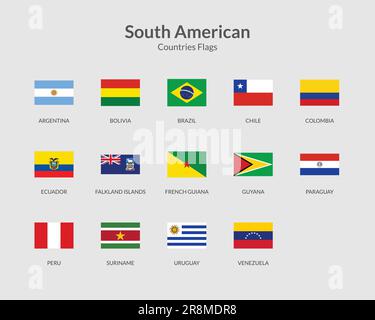 South American Continent Rectangle flag icon Stock Vector