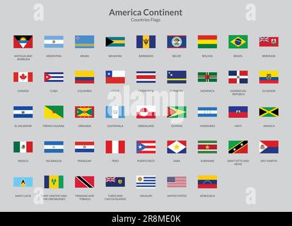 American Continent Rectangle flag icon Stock Vector