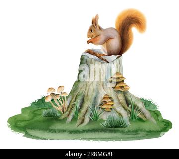 Squirrel sitting on tree stump with mushrooms on green grass watercolor forest woodland scene illustration Stock Photo