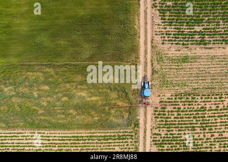 Tractor spraying field at spring, drone shot Stock Photo