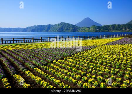 Lake Ikeda and Mount Kaimondake Stock Photo