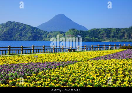 Lake Ikeda and Mount Kaimondake Stock Photo