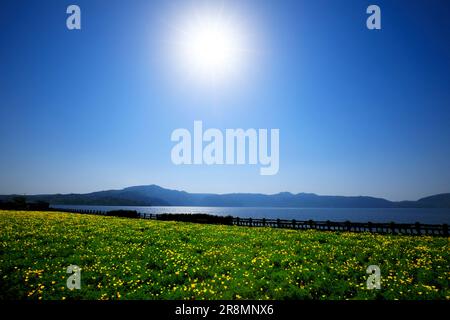 Lake Ikeda and Mount Kaimondake Stock Photo