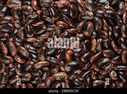 Scarlet Runner beans, from above. Dried and raw runner beans, seeds of Phaseolus coccineus, also known as multiflora or butter bean. Stock Photo