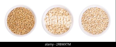 Oat grains, rolled oats and oatmeal, in white bowls. Husked common oat, Avena sativa, a cereal grain. Dehusked steamed oat groats, rolled into flakes. Stock Photo