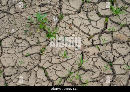 cracked earth in the garden Stock Photo