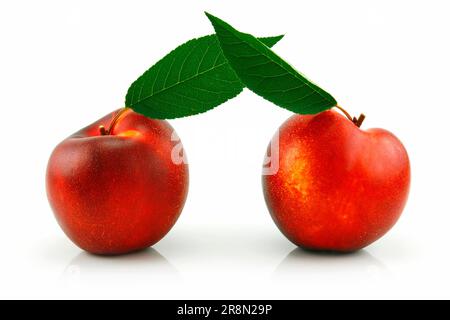Ripe Peach (Nectarine) with Green Leafs Isolated on White Background Stock Photo