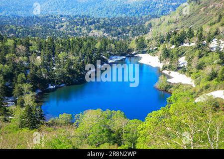 Bear Swamp in Hachimantai Stock Photo