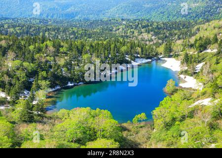 Bear Swamp in Hachimantai Stock Photo