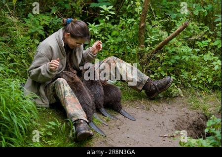 Woman and European beaver (Castor fiber), Rosenheim, Bavaria, Germany Stock Photo