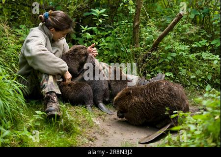 Woman and European beaver (Castor fiber), Rosenheim, Bavaria, Germany Stock Photo