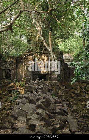 Ruins of Beng Mealea Temple, Angkor, Siem Reap, Cambodia Stock Photo