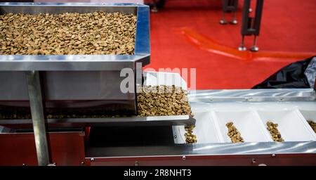 Belt conveyor in food production line. Food industry. Stock Photo