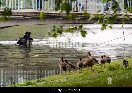Police diver carrying out a security search in the lake in St. James's Park in the morning of the 2011 Royal wedding. Checking under bridge Stock Photo