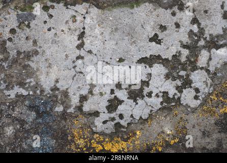 grey concrete texture useful as a background Stock Photo