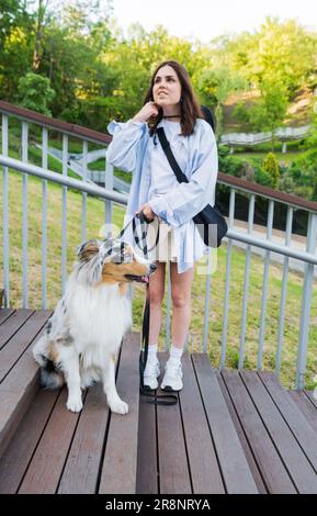 Cute aussie dog sitting next to young woman in a park. Blue merle australian shepherd dog in urban park area Stock Photo