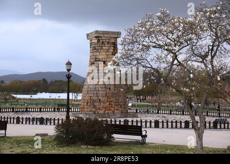 Gyeongju, South Korea. Historic Cheomseongdae Astronomical Observatory. Blooming magnolia tree in spring. Stock Photo