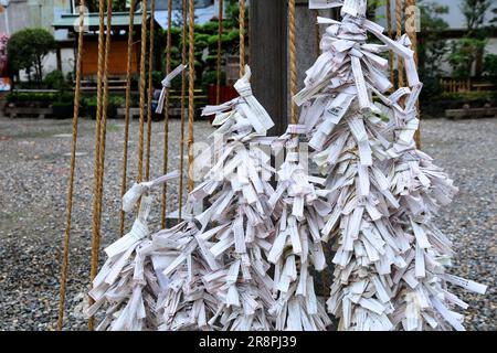 OSAKA, JAPAN - NOVEMBER 22, 2016: Omikuji paper fortunes tied to strings in Tsuyunoten Jinja (Ohatsu Tenjin) shrine in Sonezaki district, Osaka. Stock Photo