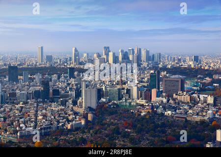 Tokyo city skyline. Japanese city view with Shinjuku, Minamiaoyama and Jingumae districts. Aoyama Cemetery in foreground. Stock Photo