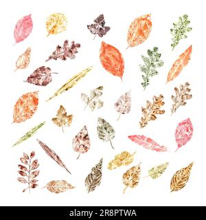 Set of autumn leaves imprints isolated on white background. Fall colorful dry leaves. Watercolor illustration of leaf silhouettes for posters, texture Stock Photo